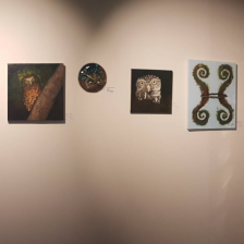 Owl Paintings