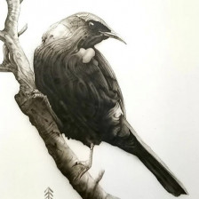 Tui